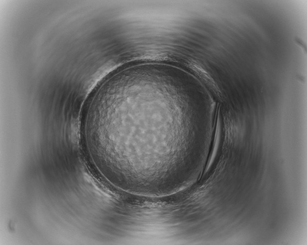 X0000102510484200808151550