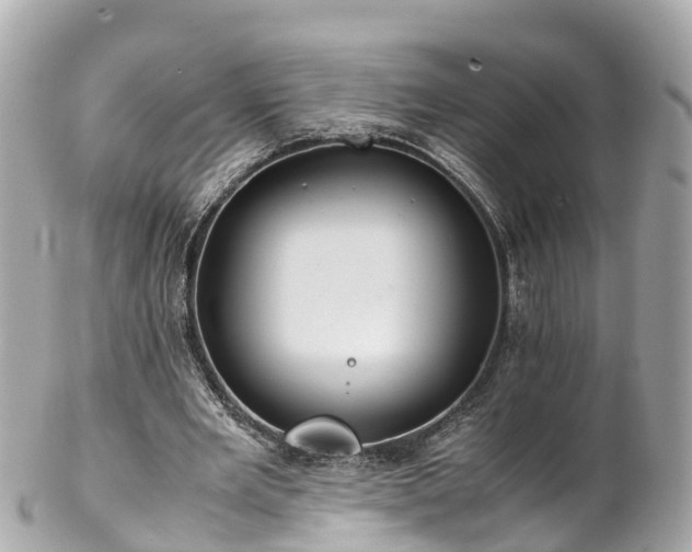X0000102510485200808151550