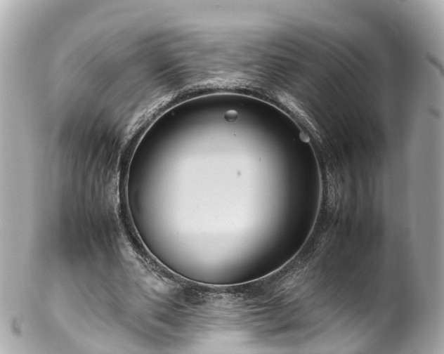 X0000102510486200808151550