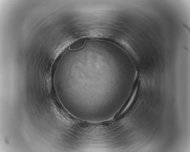 X0000102510488200808151550