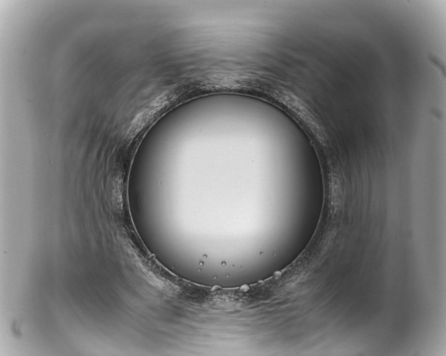 X0000102510489200808151550