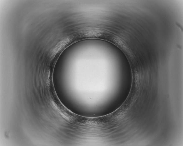 X0000102510490200808151550