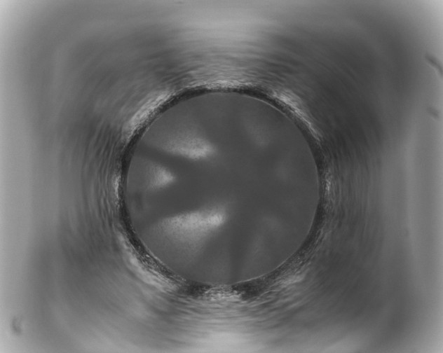 X0000102510491200808151550