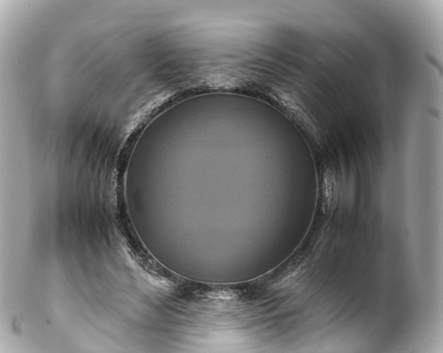 X0000102510492200808151550