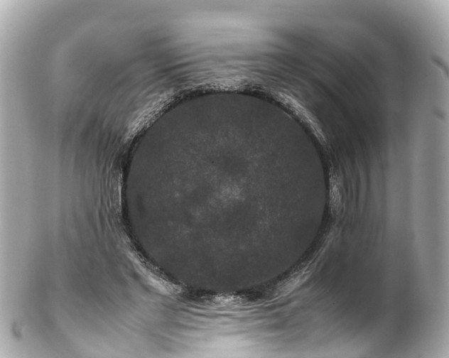 X0000102510493200808151550