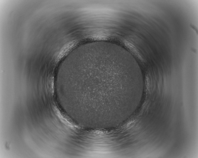 X0000102510494200808151550