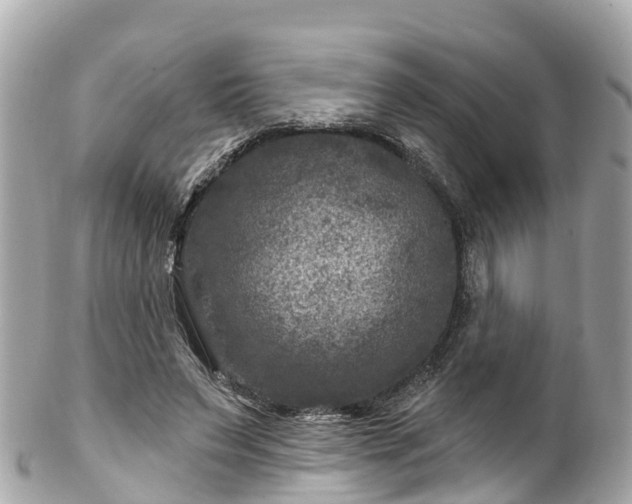 X0000102510495200808151550