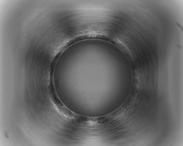 X0000102510496200808151550