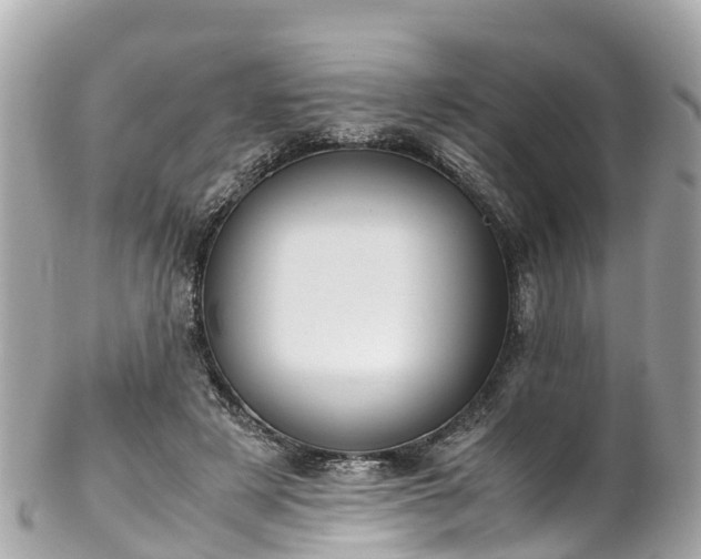 X0000102510497200808151550