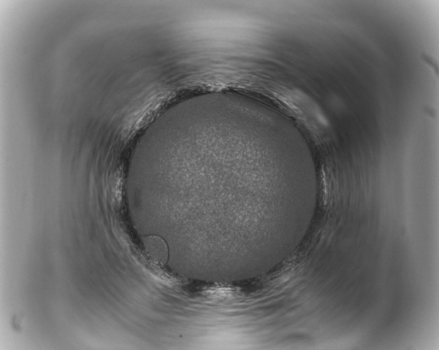X0000102510499200808151550