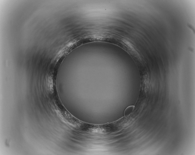 X0000102510500200808151550