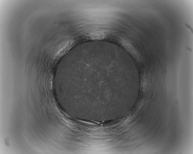 X0000102510501200808151550