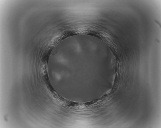X0000102510503200808151550