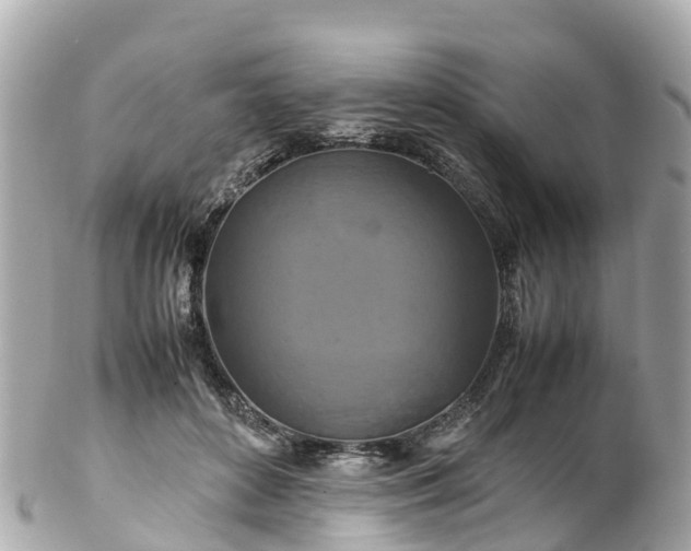 X0000102510504200808151550