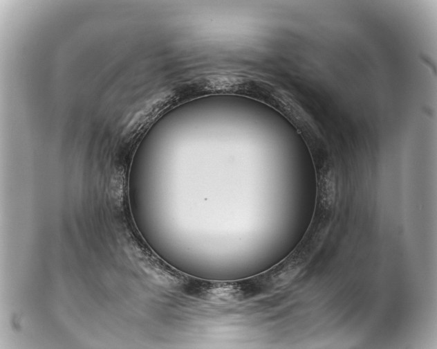 X0000102510505200808151550