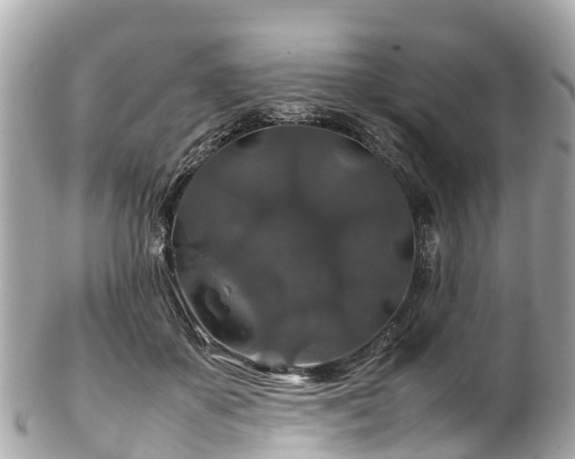 X0000102510507200808151550