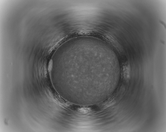 X0000102510508200808151550