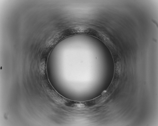 X0000102510509200808151550
