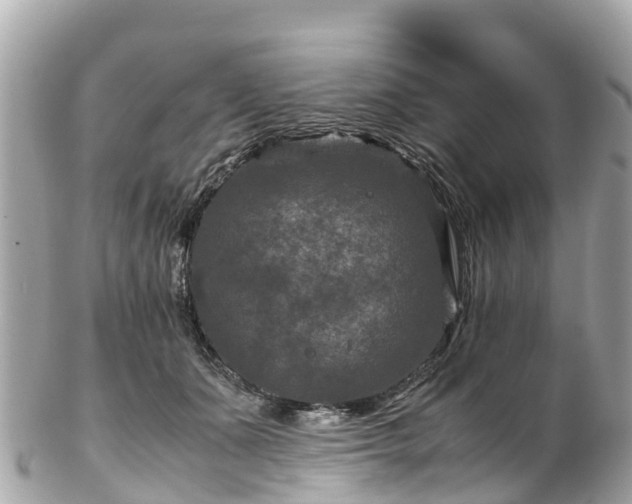 X0000102510511200808151550