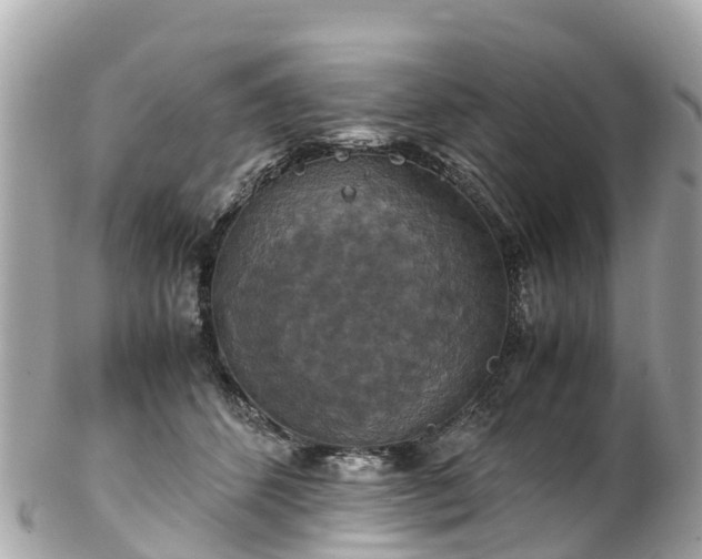 X0000102510512200808151550