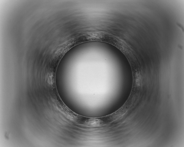 X0000102510514200808151550