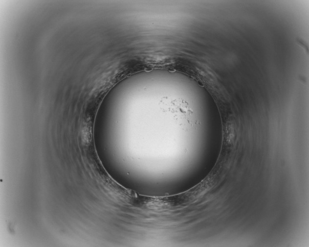X0000102510515200808151550