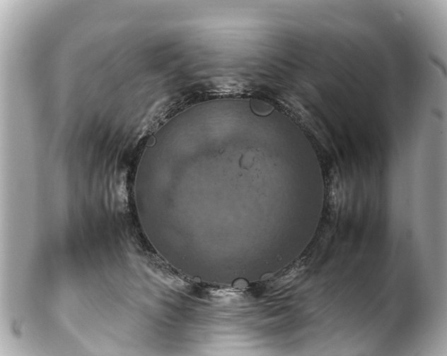 X0000102510516200808151550