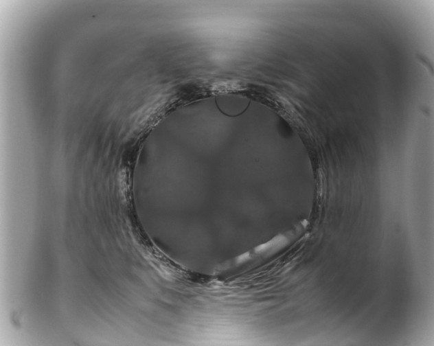 X0000102510519200808151550