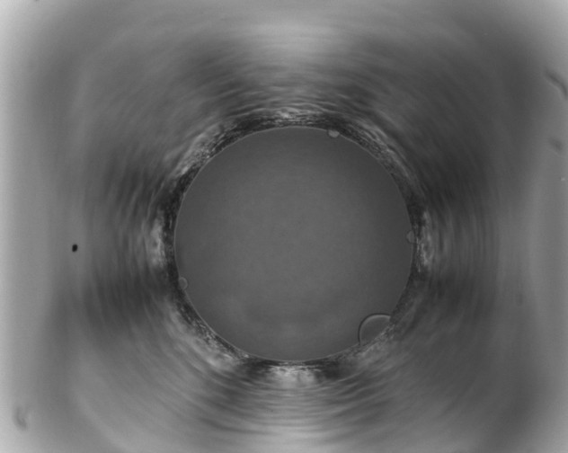 X0000102510520200808151550