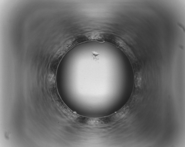X0000102510521200808151550