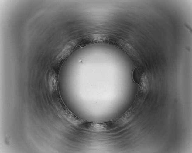 X0000102510522200808151550