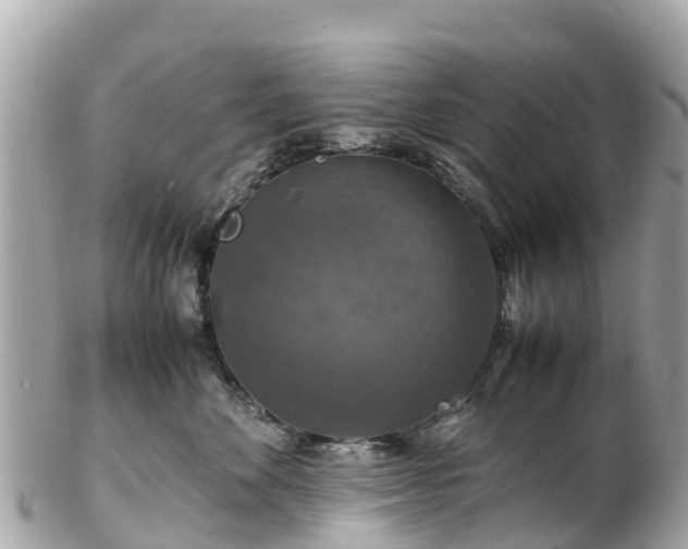X0000102510524200808151550