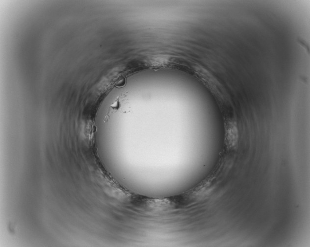 X0000102510525200808151550