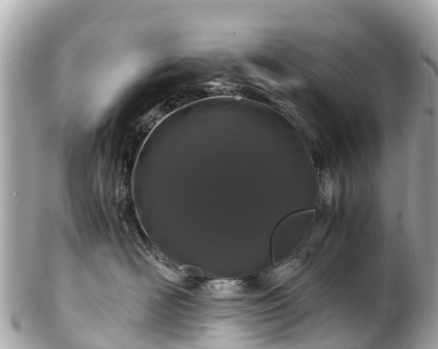 X0000102510526200808151549