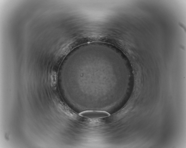 X0000102510528200808151549