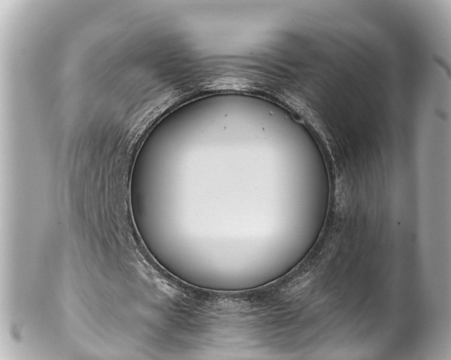 X0000102510529200808151549