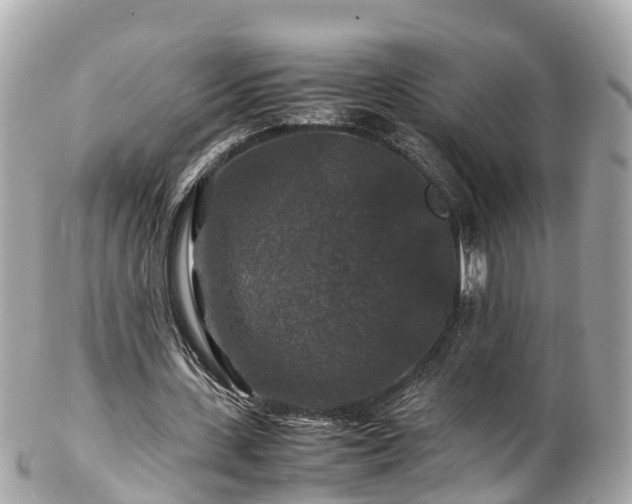 X0000102510531200808151549