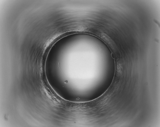 X0000102510532200808151549