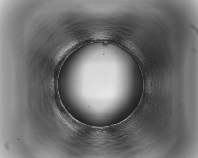 X0000102510535200808151549