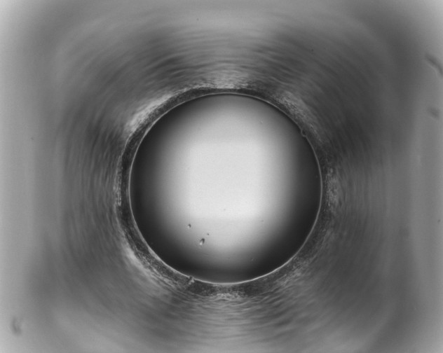 X0000102510536200808151549