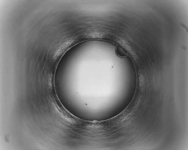 X0000102510537200808151549