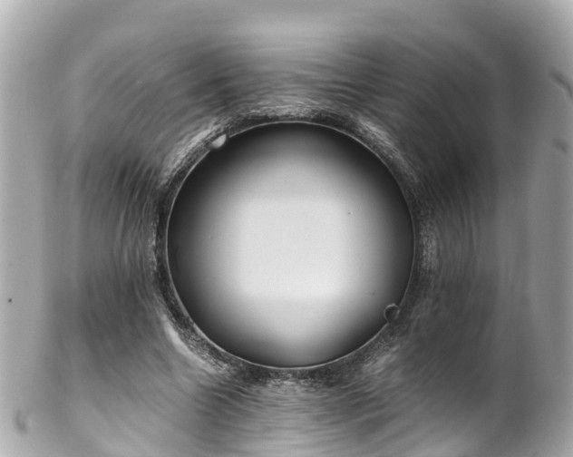 X0000102510538200808151549