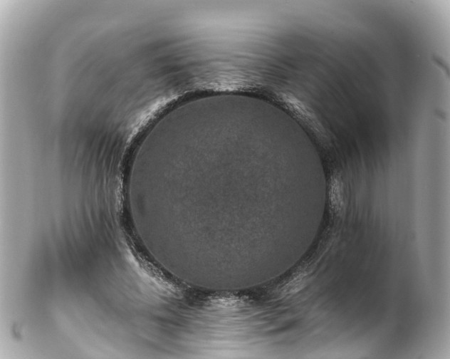 X0000102510540200808151549