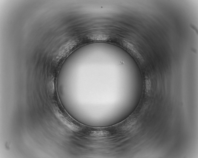 X0000102510541200808151549
