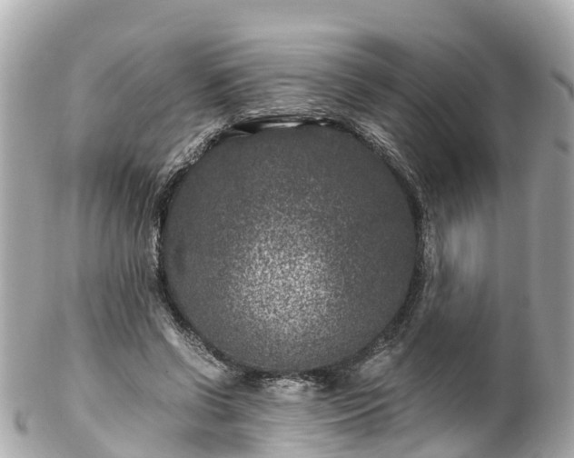 X0000102510542200808151549