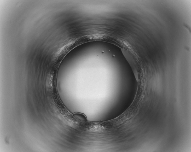 X0000102510543200808151549