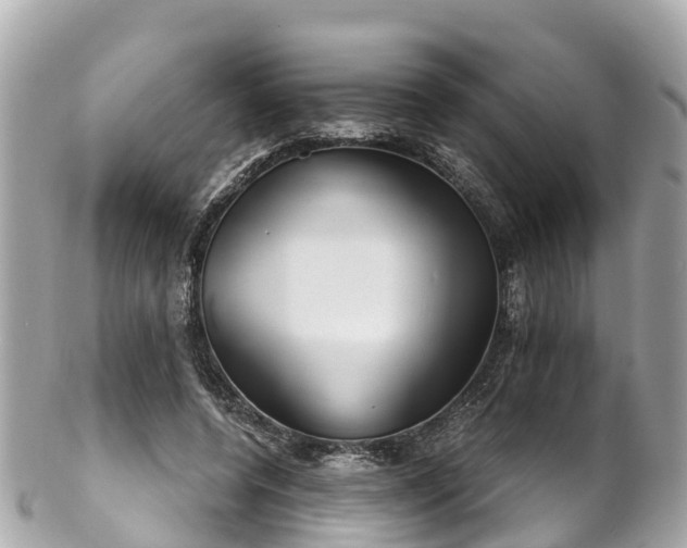 X0000102510544200808151549
