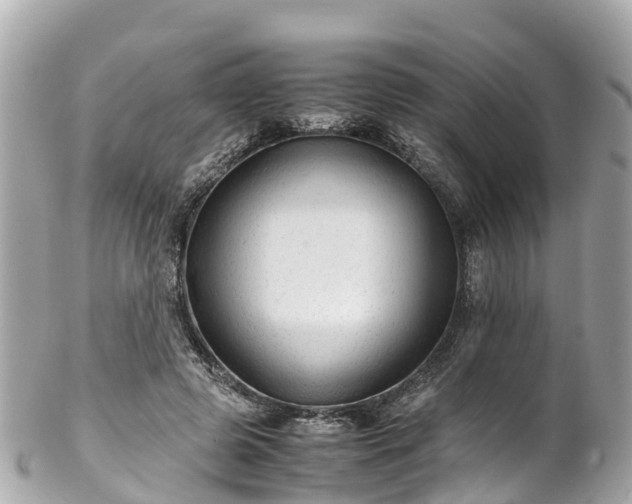 X0000102510545200808151549