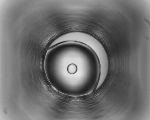 X0000102510547200808151549