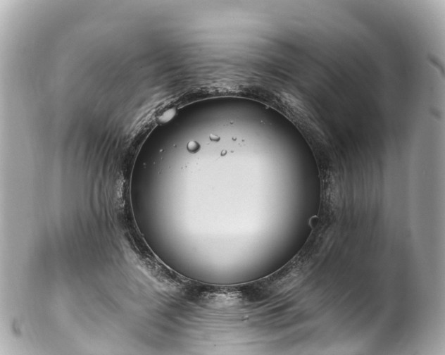 X0000102510548200808151549